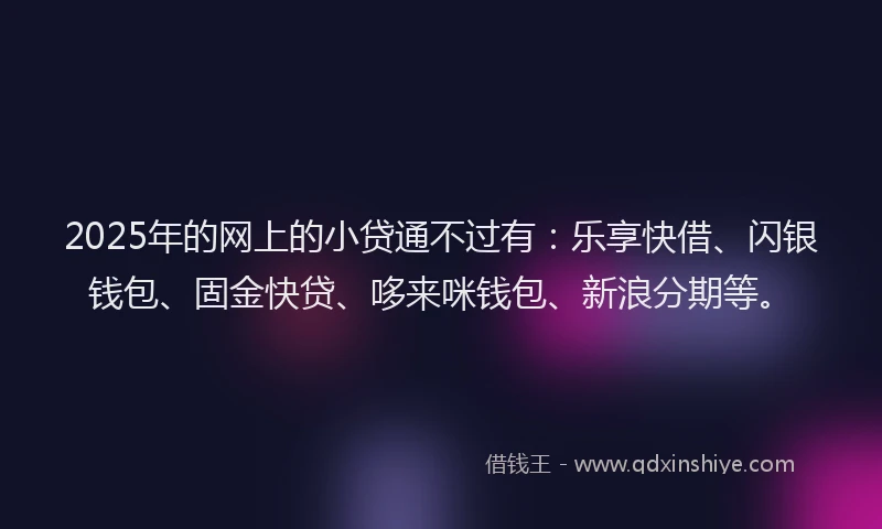 2025年的网上的小贷通不过有：乐享快借、闪银钱包、固金快贷、哆来咪钱包、新浪分期等。