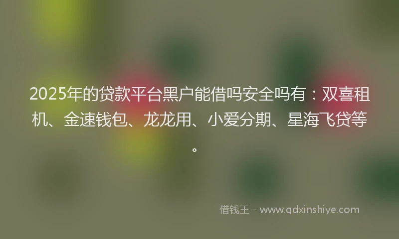 2025年的贷款平台黑户能借吗安全吗有：双喜租机、金速钱包、龙龙用、小爱分期、星海飞贷等。