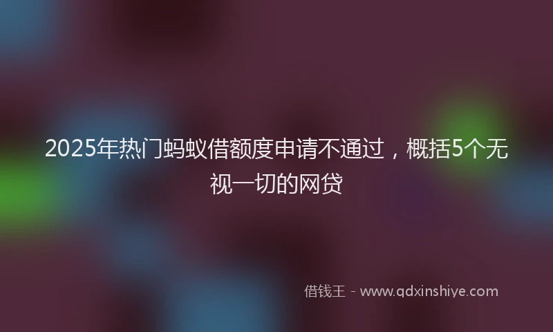 2025年热门蚂蚁借额度申请不通过，概括5个无视一切的网贷