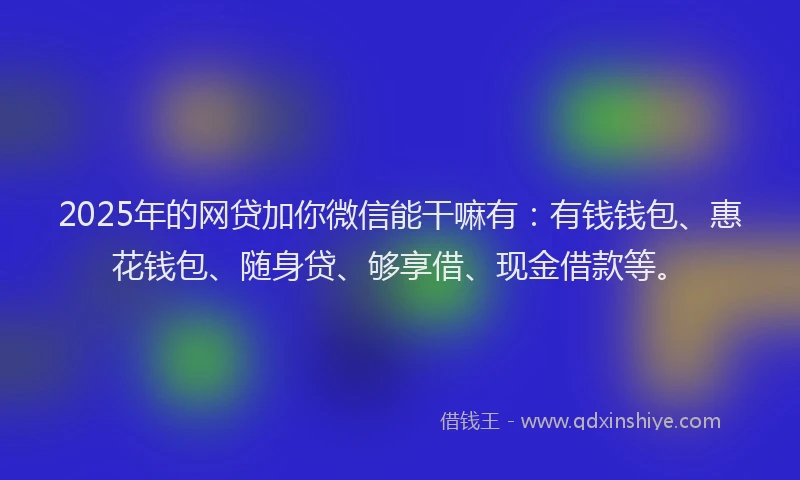 2025年的网贷加你微信能干嘛有：有钱钱包、惠花钱包、随身贷、够享借、现金借款等。