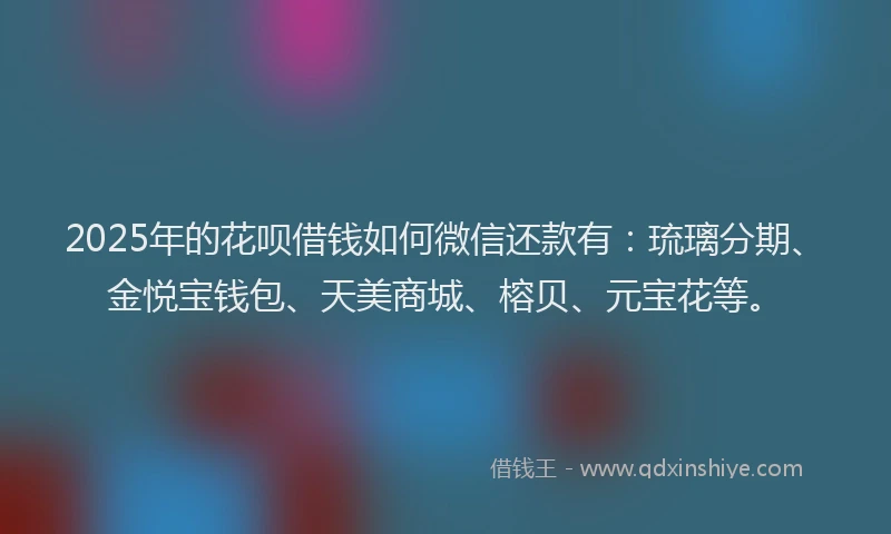 2025年的花呗借钱如何微信还款有：琉璃分期、金悦宝钱包、天美商城、榕贝、元宝花等。