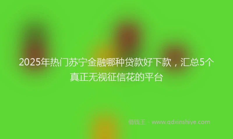 2025年热门苏宁金融哪种贷款好下款，汇总5个真正无视征信花的平台