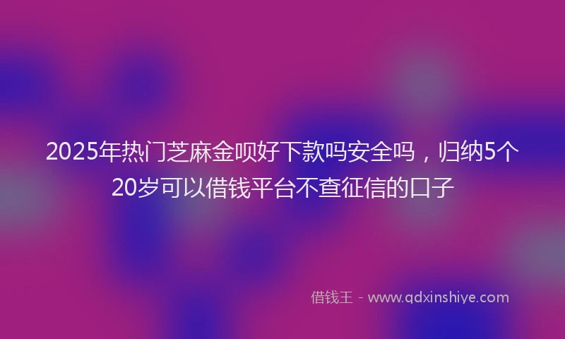 2025年热门芝麻金呗好下款吗安全吗，归纳5个20岁可以借钱平台不查征信的口子
