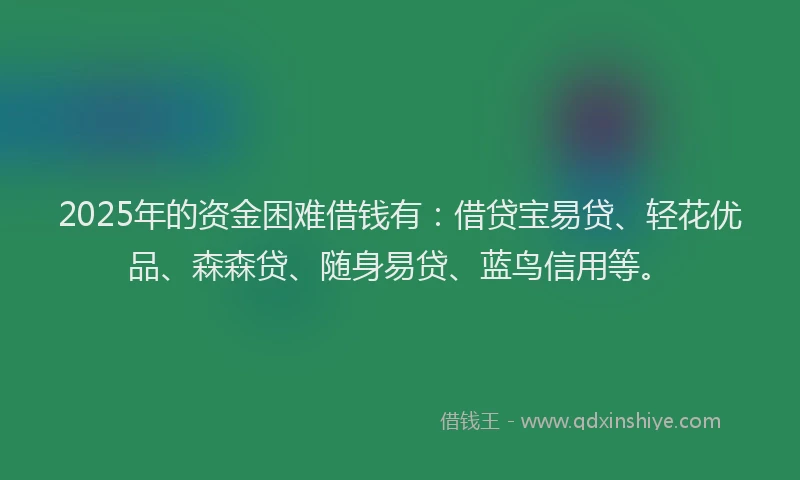 2025年的资金困难借钱有：借贷宝易贷、轻花优品、森森贷、随身易贷、蓝鸟信用等。