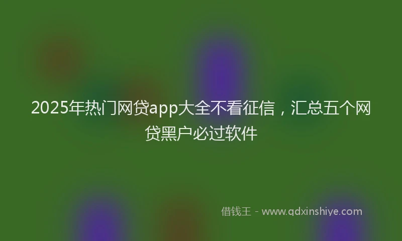 2025年热门网贷app大全不看征信，汇总五个网贷黑户必过软件