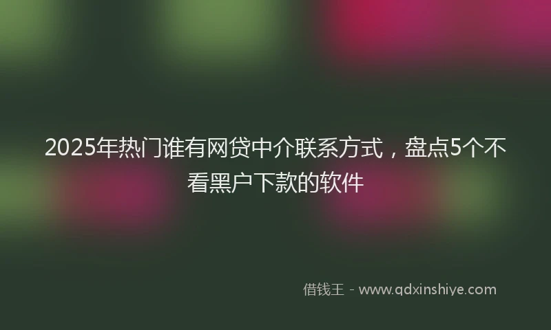 2025年热门谁有网贷中介联系方式，盘点5个不看黑户下款的软件