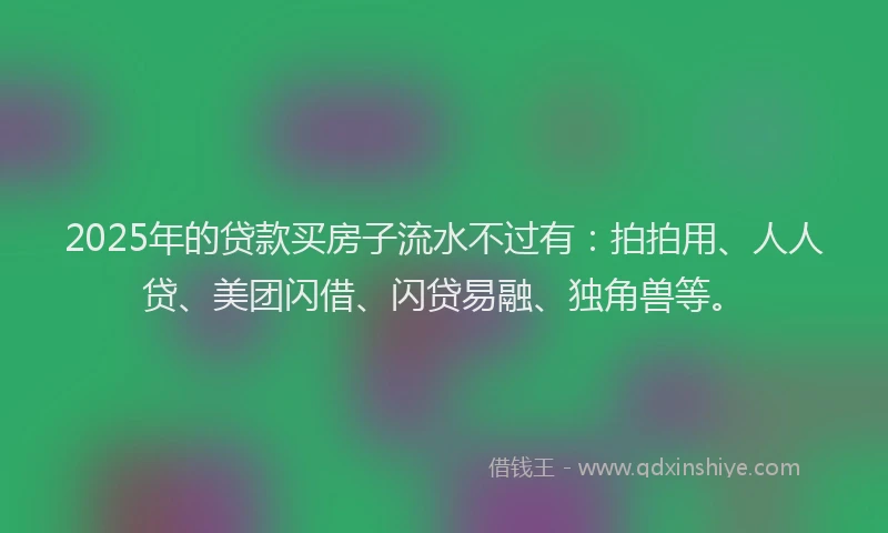 2025年的贷款买房子流水不过有：拍拍用、人人贷、美团闪借、闪贷易融、独角兽等。