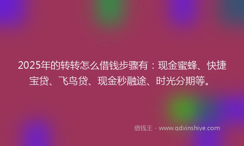 2025年的转转怎么借钱步骤有：现金蜜蜂、快捷宝贷、飞鸟贷、现金秒融途、时光分期等。