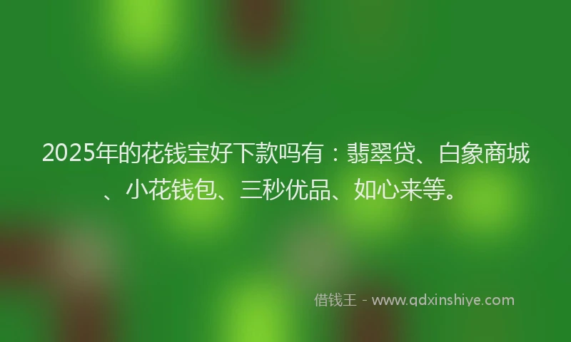 2025年的花钱宝好下款吗有：翡翠贷、白象商城、小花钱包、三秒优品、如心来等。