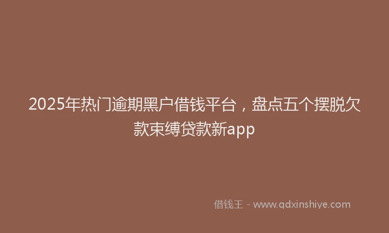 2025年热门逾期黑户借钱平台，盘点五个摆脱欠款束缚贷款新app