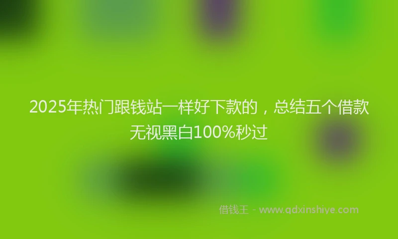 2025年热门跟钱站一样好下款的，总结五个借款无视黑白100%秒过