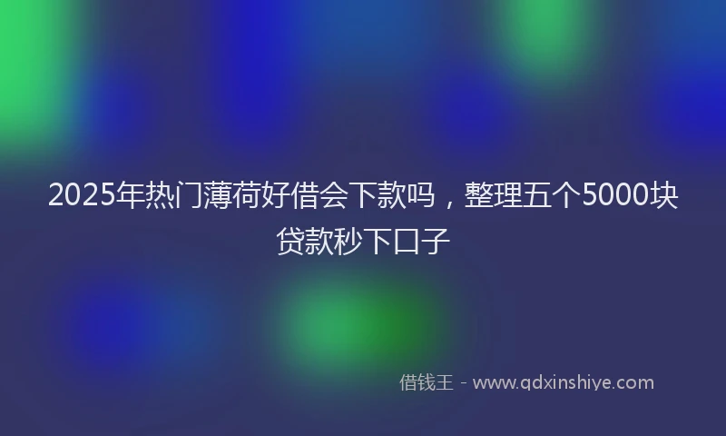 2025年热门薄荷好借会下款吗，整理五个5000块贷款秒下口子