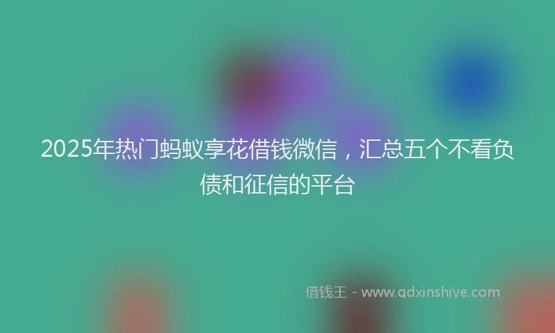 2025年热门蚂蚁享花借钱微信，汇总五个不看负债和征信的平台