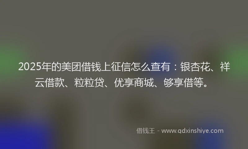 2025年的美团借钱上征信怎么查有:银杏花、祥云借款、粒粒贷、优享商城、够享借等。