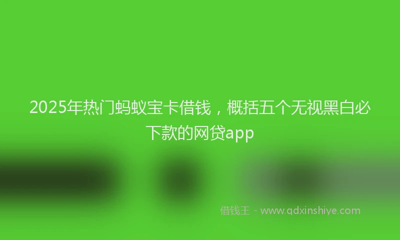 2025年热门蚂蚁宝卡借钱，概括五个无视黑白必下款的网贷app