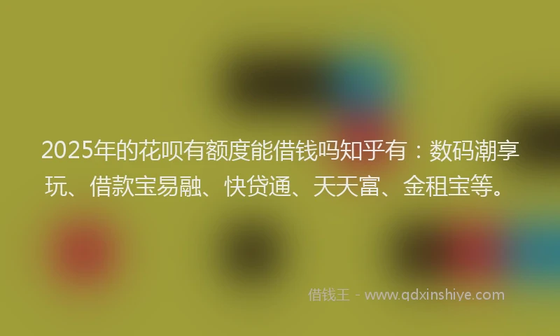 2025年的花呗有额度能借钱吗知乎有：数码潮享玩、借款宝易融、快贷通、天天富、金租宝等。