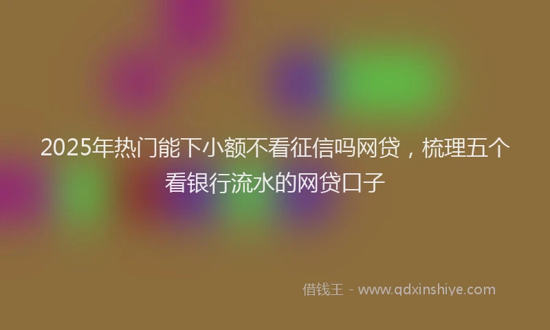 2025年热门能下小额不看征信吗网贷，梳理五个看银行流水的网贷口子
