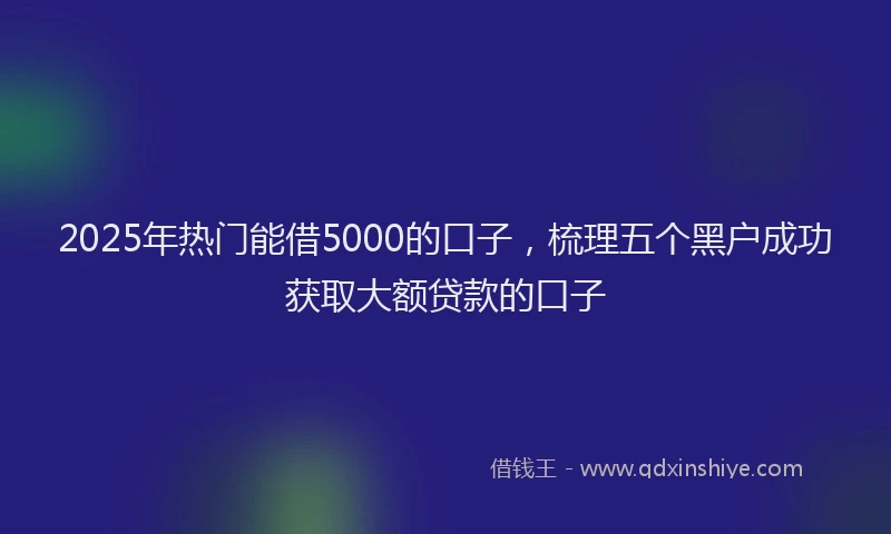 2025年热门能借5000的口子，梳理五个黑户成功获取大额贷款的口子