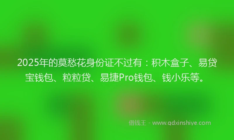 2025年的莫愁花身份证不过有：积木盒子、易贷宝钱包、粒粒贷、易捷Pro钱包、钱小乐等。