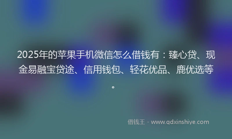 2025年的苹果手机微信怎么借钱有：臻心贷、现金易融宝贷途、信用钱包、轻花优品、鹿优选等。