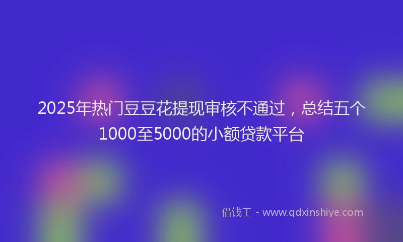 2025年热门豆豆花提现审核不通过，总结五个1000至5000的小额贷款平台