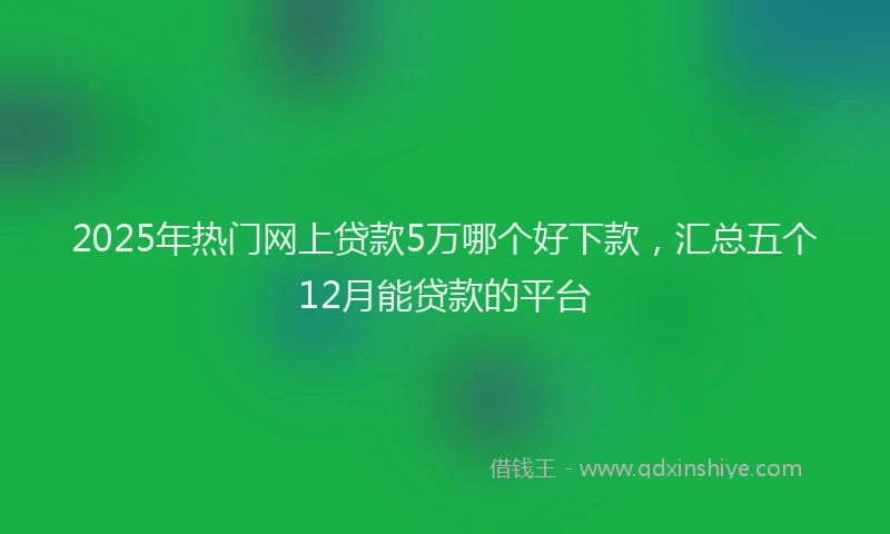 2025年热门网上贷款5万哪个好下款，汇总五个12月能贷款的平台