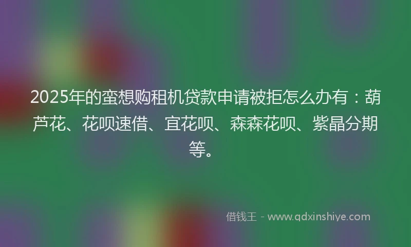 2025年的蛮想购租机贷款申请被拒怎么办有：葫芦花、花呗速借、宜花呗、森森花呗、紫晶分期等。