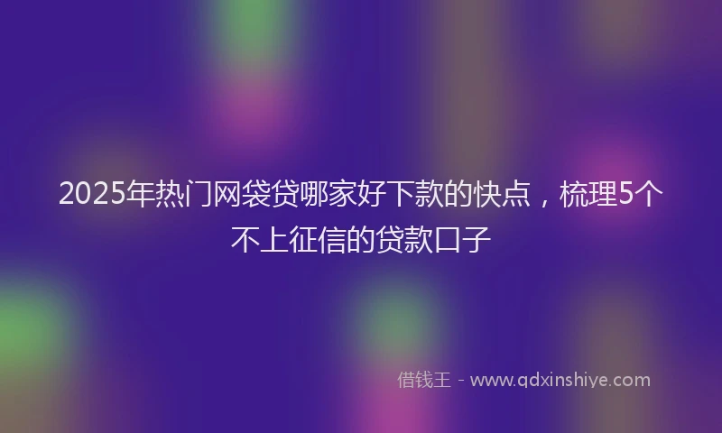 2025年热门网袋贷哪家好下款的快点，梳理5个不上征信的贷款口子