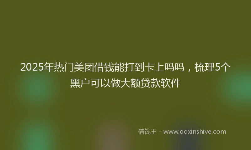 2025年热门美团借钱能打到卡上吗吗，梳理5个黑户可以做大额贷款软件