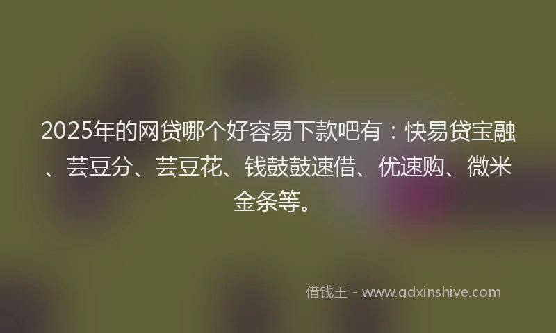 2025年的网贷哪个好容易下款吧有：快易贷宝融、芸豆分、芸豆花、钱鼓鼓速借、优速购、微米金条等。