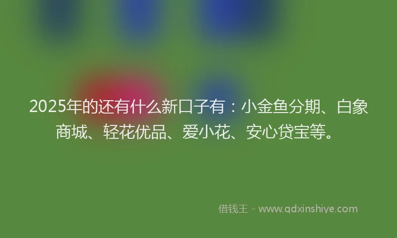2025年的还有什么新口子有：小金鱼分期、白象商城、轻花优品、爱小花、安心贷宝等。