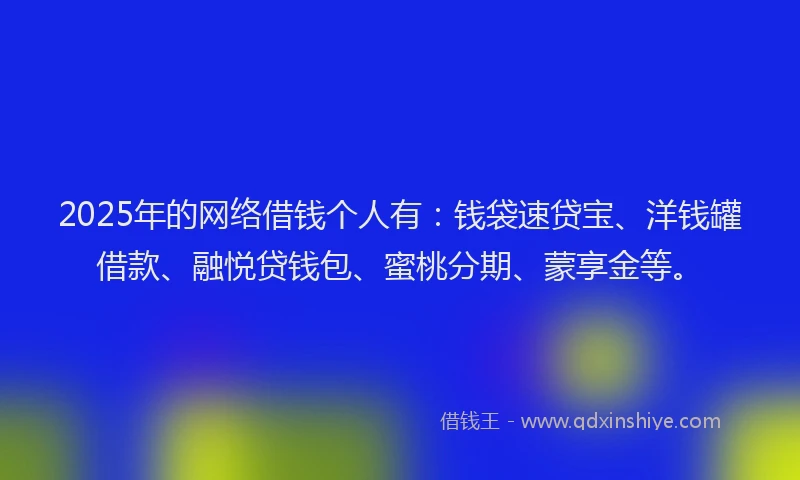 2025年的网络借钱个人有：钱袋速贷宝、洋钱罐借款、融悦贷钱包、蜜桃分期、蒙享金等。