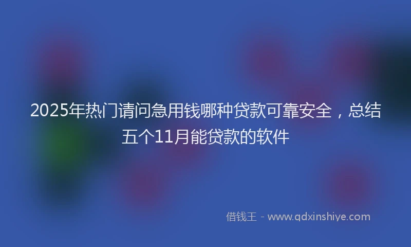 2025年热门请问急用钱哪种贷款可靠安全，总结五个11月能贷款的软件