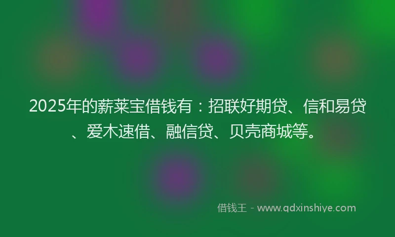 2025年的薪莱宝借钱有：招联好期贷、信和易贷、爱木速借、融信贷、贝壳商城等。