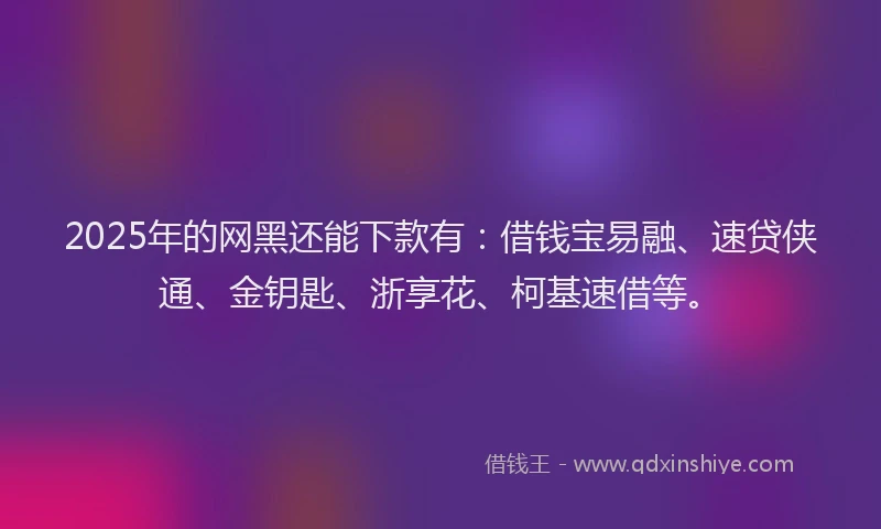 2025年的网黑还能下款有：借钱宝易融、速贷侠通、金钥匙、浙享花、柯基速借等。