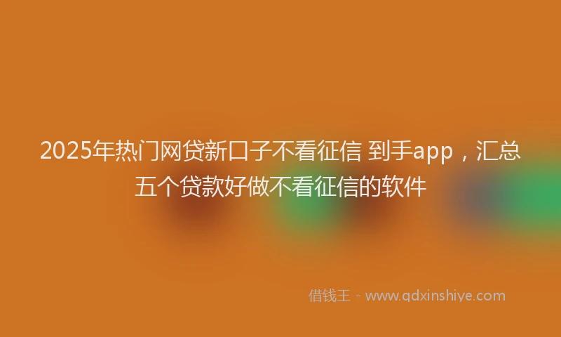 2025年热门网贷新口子不看征信 到手app，汇总五个贷款好做不看征信的软件