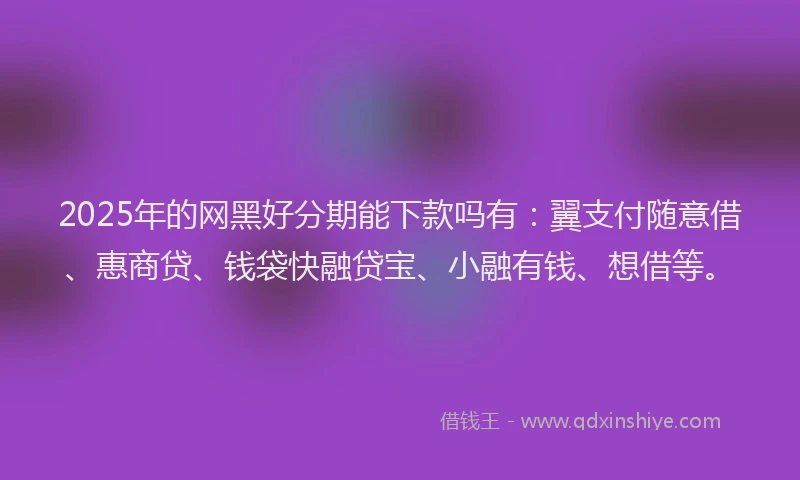 2025年的网黑好分期能下款吗有：翼支付随意借、惠商贷、钱袋快融贷宝、小融有钱、想借等。