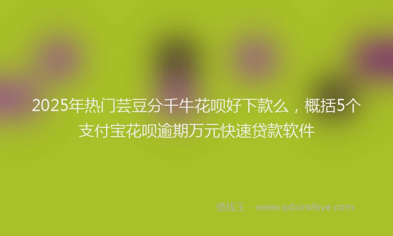2025年热门芸豆分千牛花呗好下款么，概括5个支付宝花呗逾期万元快速贷款软件