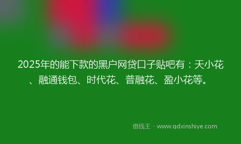2025年的能下款的黑户网贷口子贴吧有：天小花、融通钱包、时代花、普融花、盈小花等。