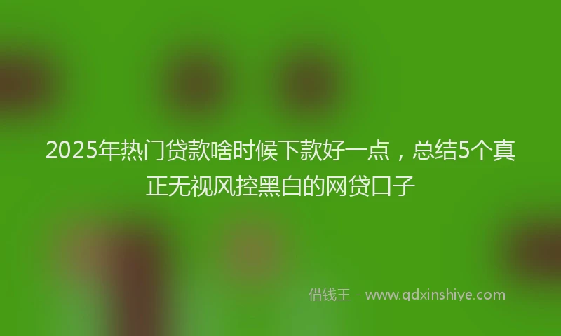 2025年热门贷款啥时候下款好一点，总结5个真正无视风控黑白的网贷口子