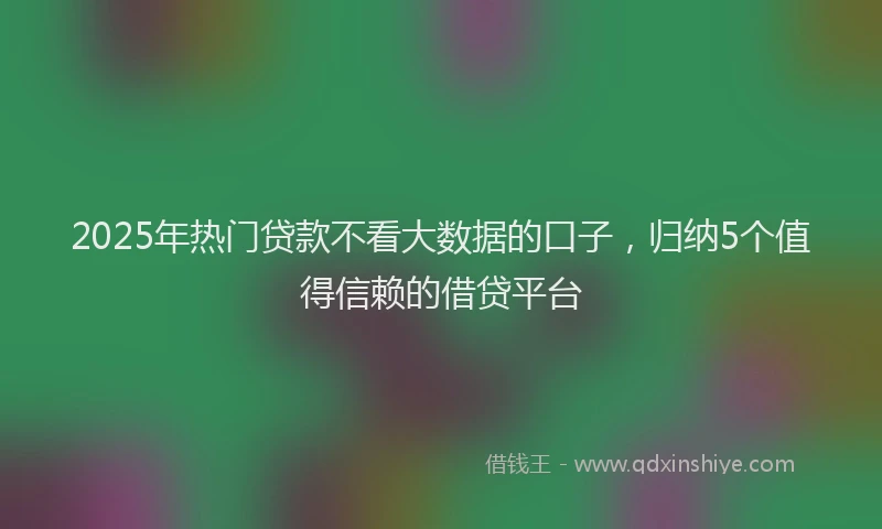 2025年热门贷款不看大数据的口子，归纳5个值得信赖的借贷平台