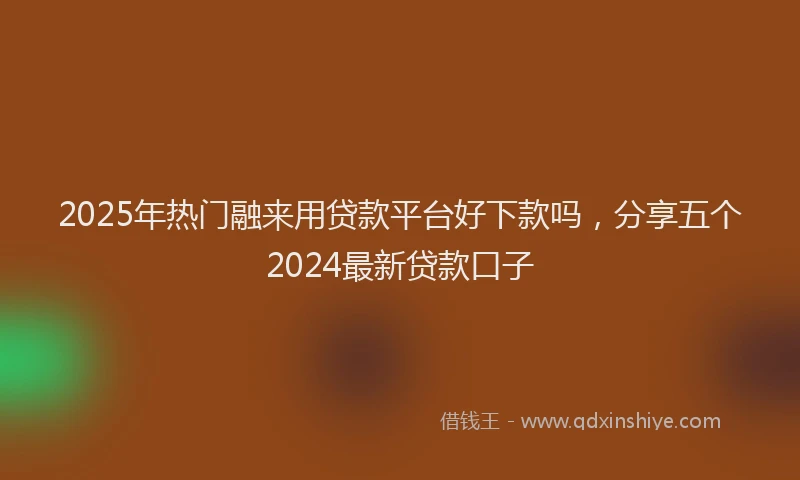 2025年热门融来用贷款平台好下款吗，分享五个2024最新贷款口子