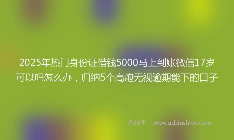 2025年热门身份证借钱5000马上到账微信17岁可以吗怎么办，归纳5个高炮无视逾期能下的口子
