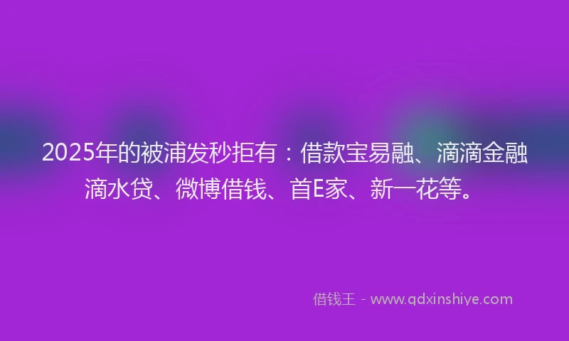 2025年的被浦发秒拒有：借款宝易融、滴滴金融滴水贷、微博借钱、首E家、新一花等。