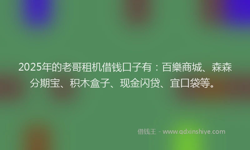 2025年的老哥租机借钱口子有：百樂商城、森森分期宝、积木盒子、现金闪贷、宜口袋等。