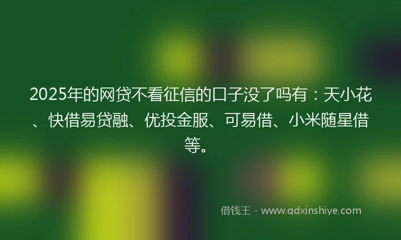 2025年的网贷不看征信的口子没了吗有：天小花、快借易贷融、优投金服、可易借、小米随星借等。