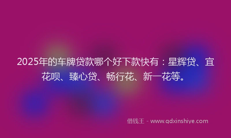 2025年的车牌贷款哪个好下款快有:星辉贷、宜花呗、臻心贷、畅行花、新一花等。