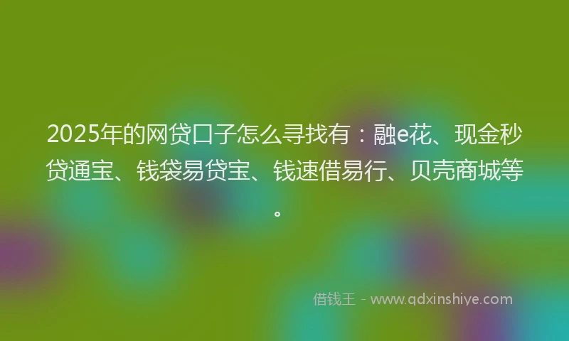 2025年的网贷口子怎么寻找有：融e花、现金秒贷通宝、钱袋易贷宝、钱速借易行、贝壳商城等。