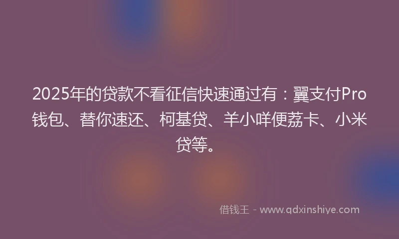 2025年的贷款不看征信快速通过有：翼支付Pro钱包、替你速还、柯基贷、羊小咩便荔卡、小米贷等。