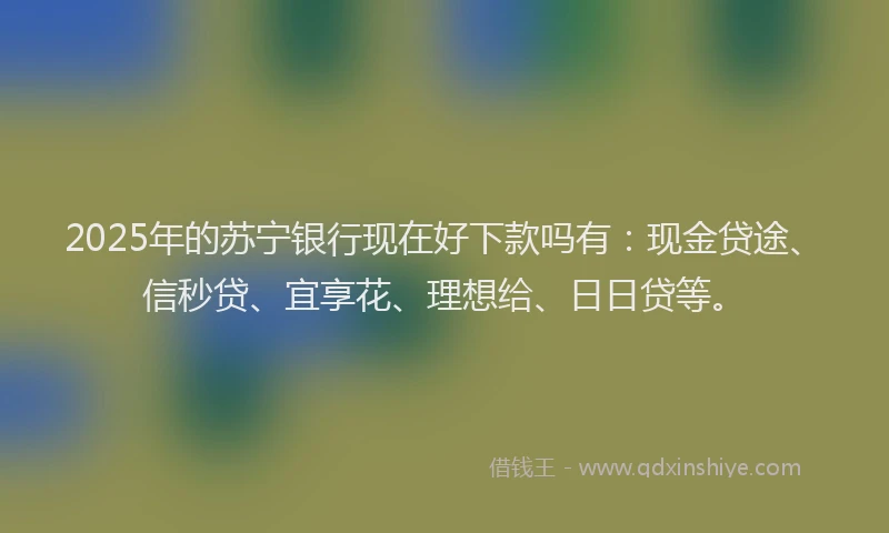2025年的苏宁银行现在好下款吗有：现金贷途、信秒贷、宜享花、理想给、日日贷等。